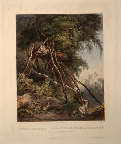 Tombs of Assiniboin Indians on Trees by Karl Bodmer